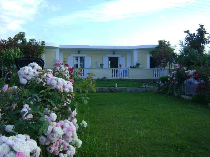 Zante Summer Retreats - Marietta'S Apartment2 Drosia Kypseli Exteriér fotografie